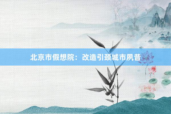 北京市假想院：改造引颈城市夙昔
